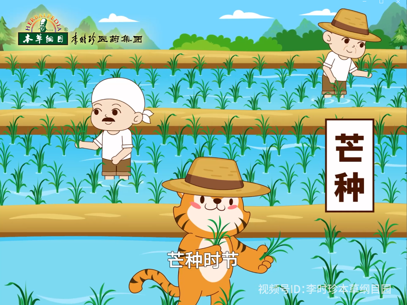 芒种忙，艾草香